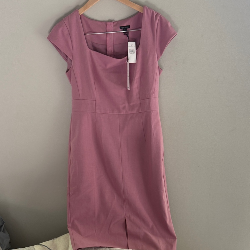 NWT Ann Taylor Mauve Cap Sleeve Dress